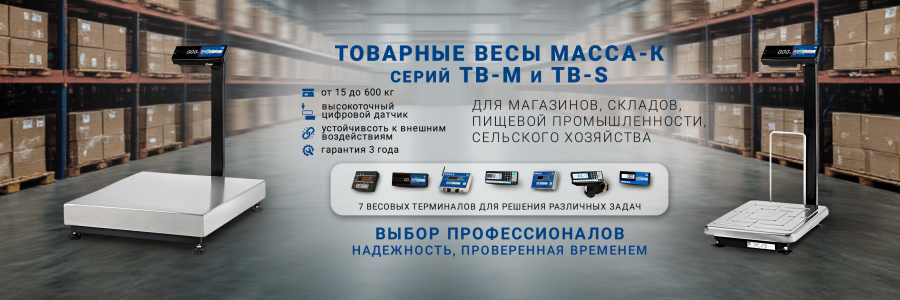 Весы в городе Благодарный