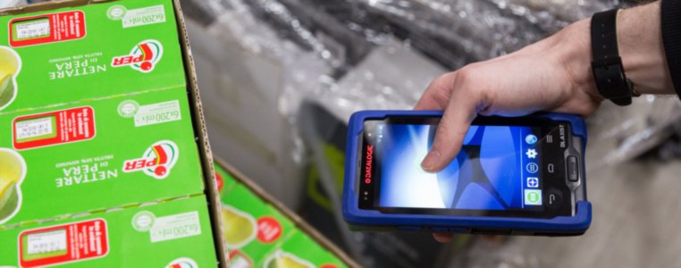 ТСД Datalogic в городе Благодарный