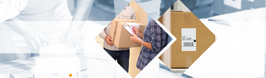 ТСД Newland в городе Благодарный